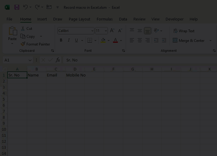 Record Macro in Excel
