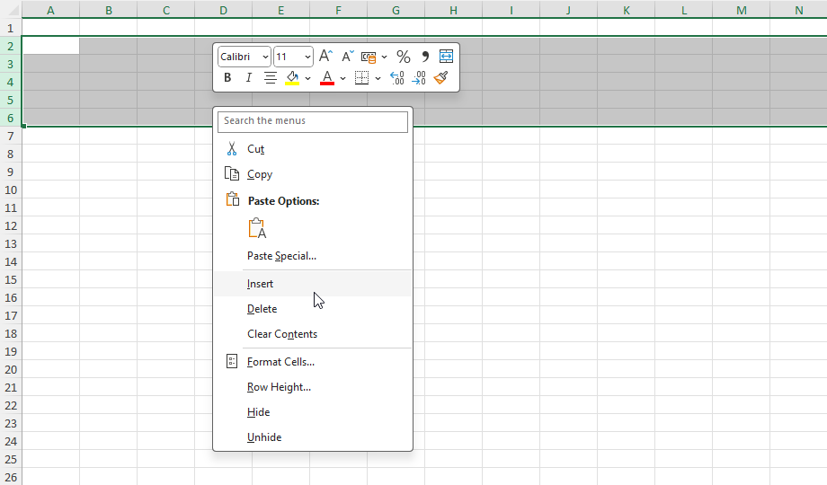 Insert Rows in Excel
